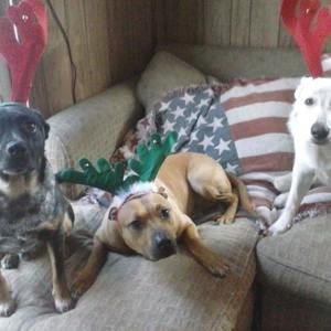 Meet your Posher, Susan